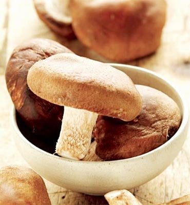 ��������:30������ʳ�￹˥�� �Գ�������