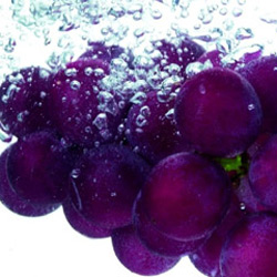 ��������:30������ʳ�￹˥�� �Գ�������