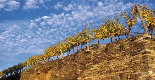 ��觺Ӳ����İµ�������