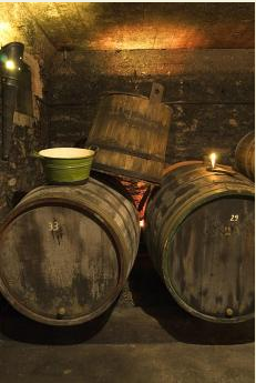 ������ɫ�����ѾƲ����