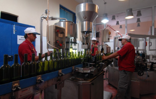 ������ɫ�����ѾƲ����