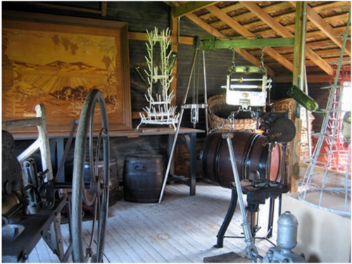 ������ɫ�����ѾƲ����