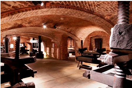 ������ɫ�����ѾƲ����