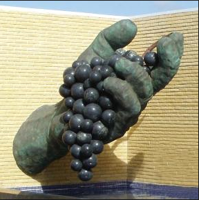 ������ɫ�����ѾƲ����