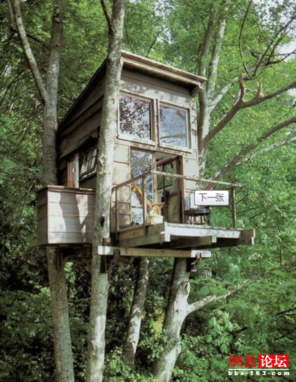 ȫ��������ľ��� һ����ס����(��ͼ)