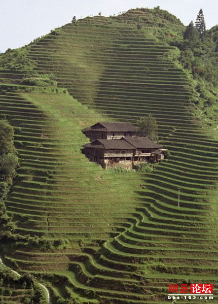 ȫ��������ľ��� һ����ס����(��ͼ)