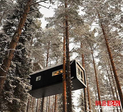 ȫ��������ľ��� һ����ס����(��ͼ)