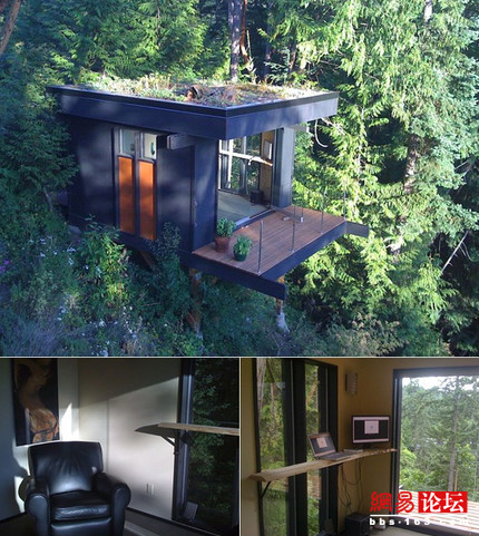 ȫ��������ľ��� һ����ס����(��ͼ)