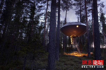 ȫ��������ľ��� һ����ס����(��ͼ)