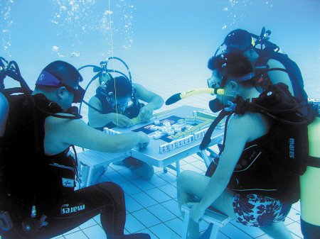 ���ظ����쿹�����̵�