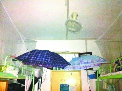 ���ظ����쿹�����̵�