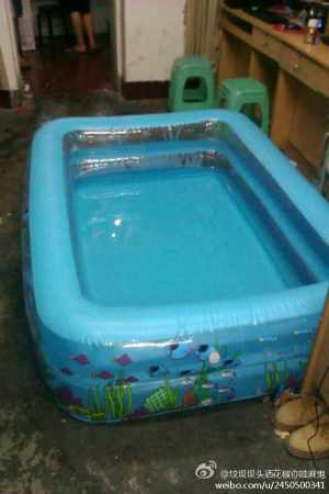 ���ظ����쿹�����̵�