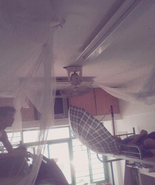 ���ظ����쿹�����̵�