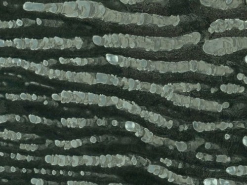 �ȸ����׽�������ò ��̫����ͼ