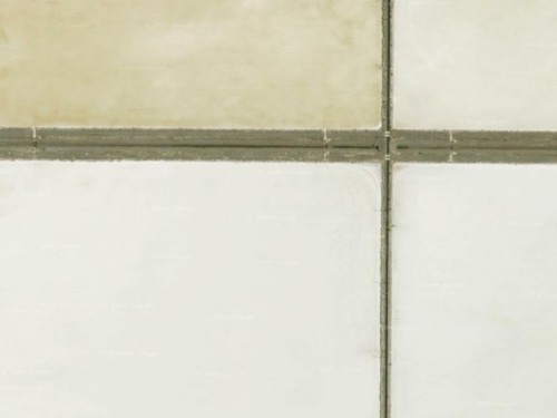 �ȸ����׽�������ò ��̫����ͼ