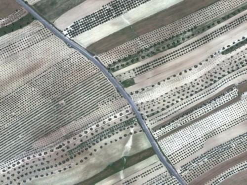 �ȸ����׽�������ò ��̫����ͼ