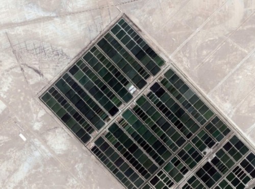 �ȸ����׽�������ò ��̫����ͼ