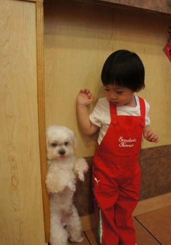 �Ƕ����������У���ʫ��100�������ض���300��