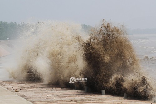 �㽭����Ǯ���򳬼�������׳�۽��泱