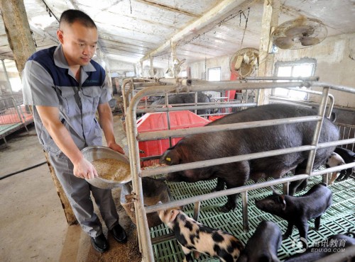 ���壺������ҵ�������ġ� �괴��50����Ԫ