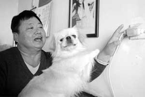 ������ʳ��ʨ��ҭ�� �̵㶯��������£�ͼ��