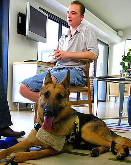 ������ʳ��ʨ��ҭ�� �̵㶯��������£�ͼ��