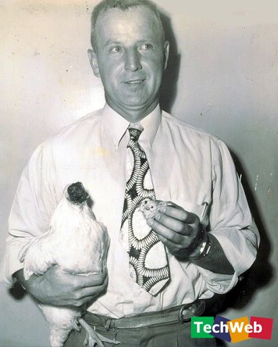 ������ʳ��ʨ��ҭ�� �̵㶯��������£�ͼ��