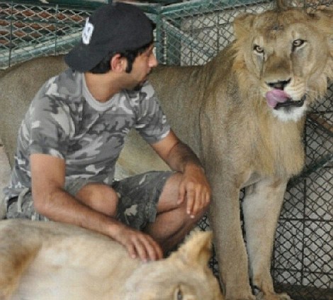 �ж�������ʨ�� ɹ�����Ÿ�(��ͼ)