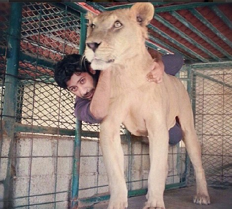 �ж�������ʨ�� ɹ�����Ÿ�(��ͼ)