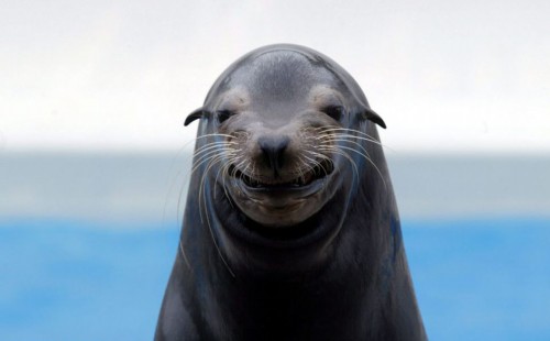 �̵㺣�����조��Ц����Ƭ ���黶������