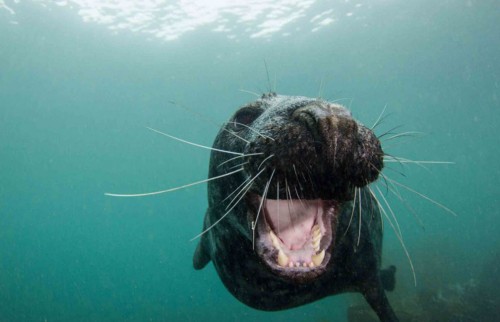 �̵㺣�����조��Ц����Ƭ ���黶������