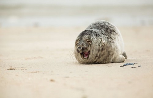 �̵㺣�����조��Ц����Ƭ ���黶������