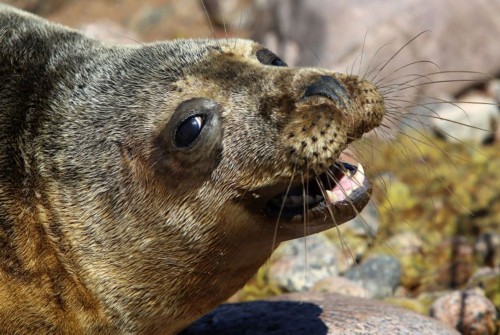 �̵㺣�����조��Ц����Ƭ ���黶������