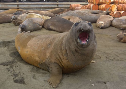 �̵㺣�����조��Ц����Ƭ ���黶������