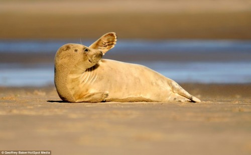 �̵㺣�����조��Ц����Ƭ ���黶������