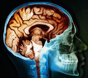 ������Խ����ĸ�������������֢