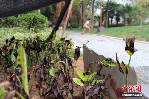 �����������»��ǺӰ�ֲ��