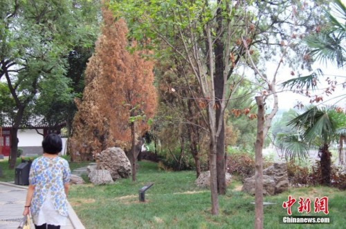 �����������»��ǺӰ�ֲ��