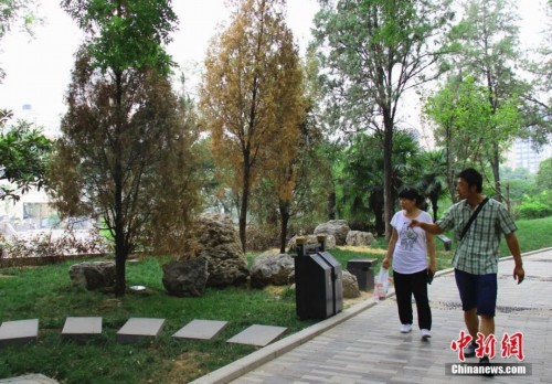 �����������»��ǺӰ�ֲ��