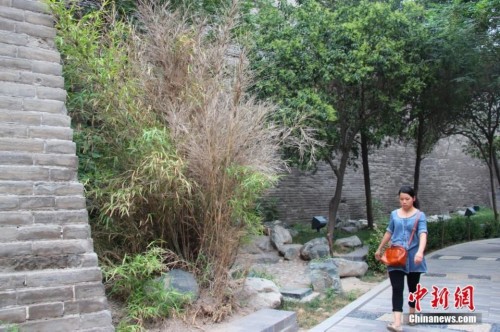 �����������»��ǺӰ�ֲ��