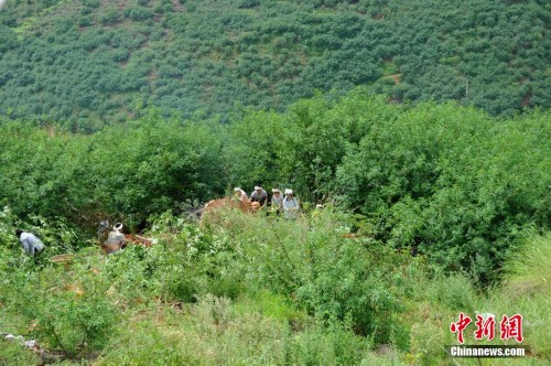 ³�����а��õ㡰��ԡ�������