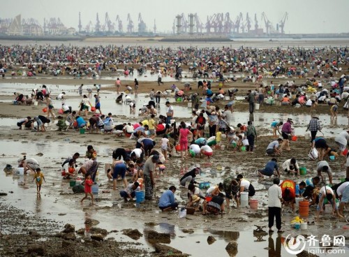 ɽ�����������ˡ�ʰ������ ����׳��