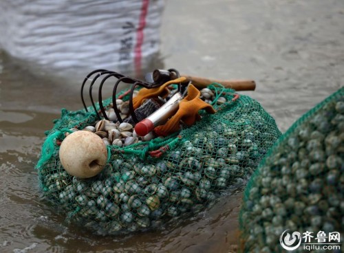 ɽ�����������ˡ�ʰ������ ����׳��