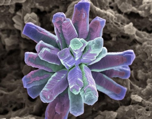 ʵ�ĵ�����΢����ë���Ȼ������ϸ��