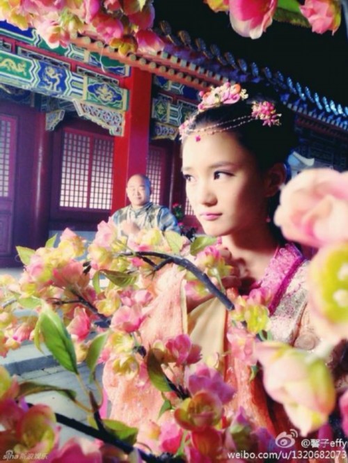 ����ƻ����԰��������12����ؾ�������(ͼ)