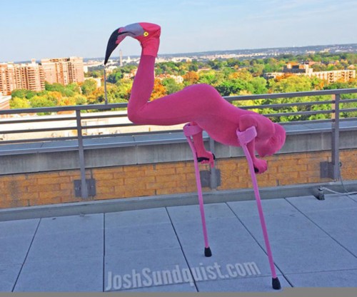 ��֫�ߵ���Ĭ����ȱҲ���Ժ���