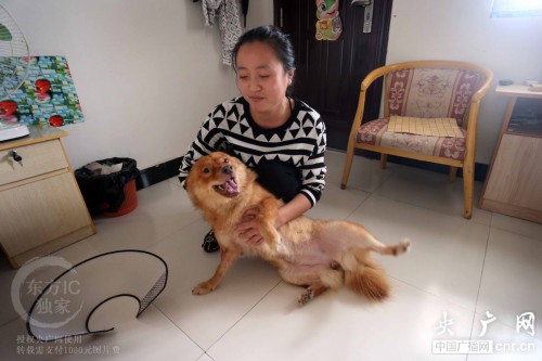 ��Ӱ�˼䣺����մ�������ġ�95�󡱻�ʿ