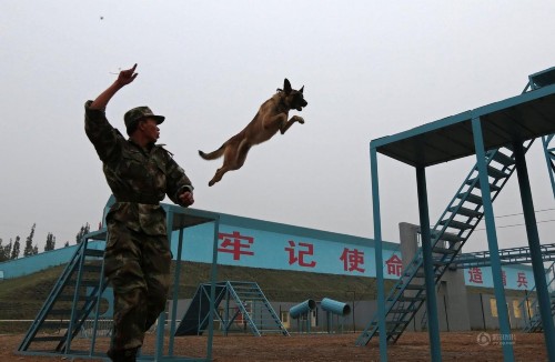 ���壺600��ս��Ӣ�۷�Ծ� ��սAPEC