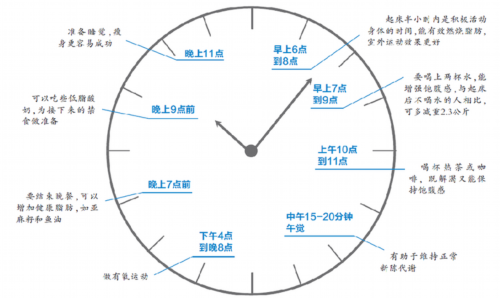 每逢佳节胖三斤 最佳瘦身时间表真的靠谱吗