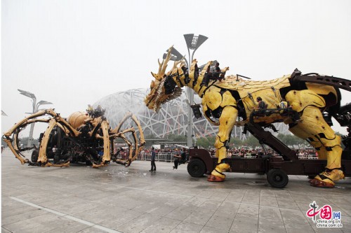 �������͡����ޡ��������� ����������Ծ